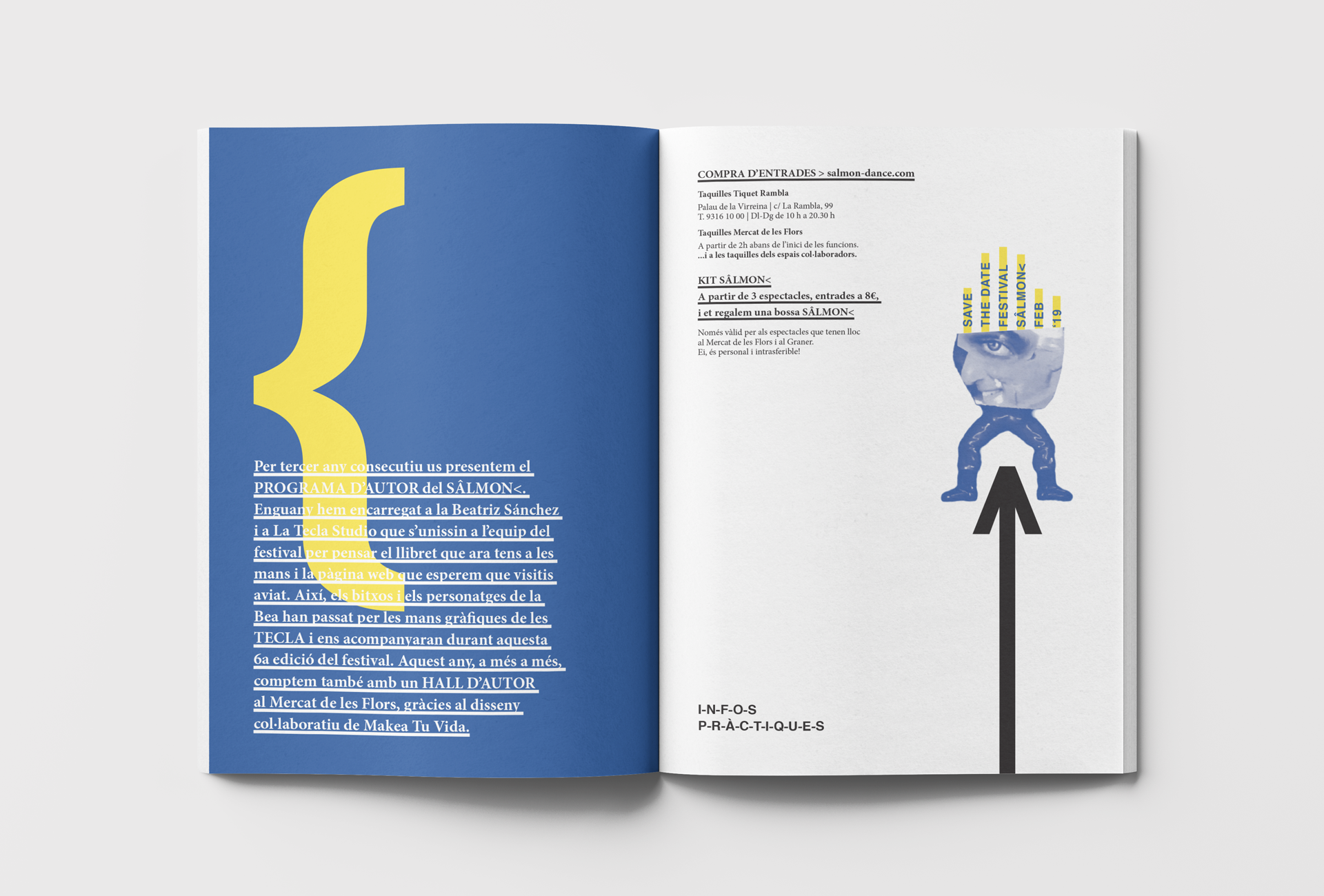 diseño de folleto para el Festival Sâlmon