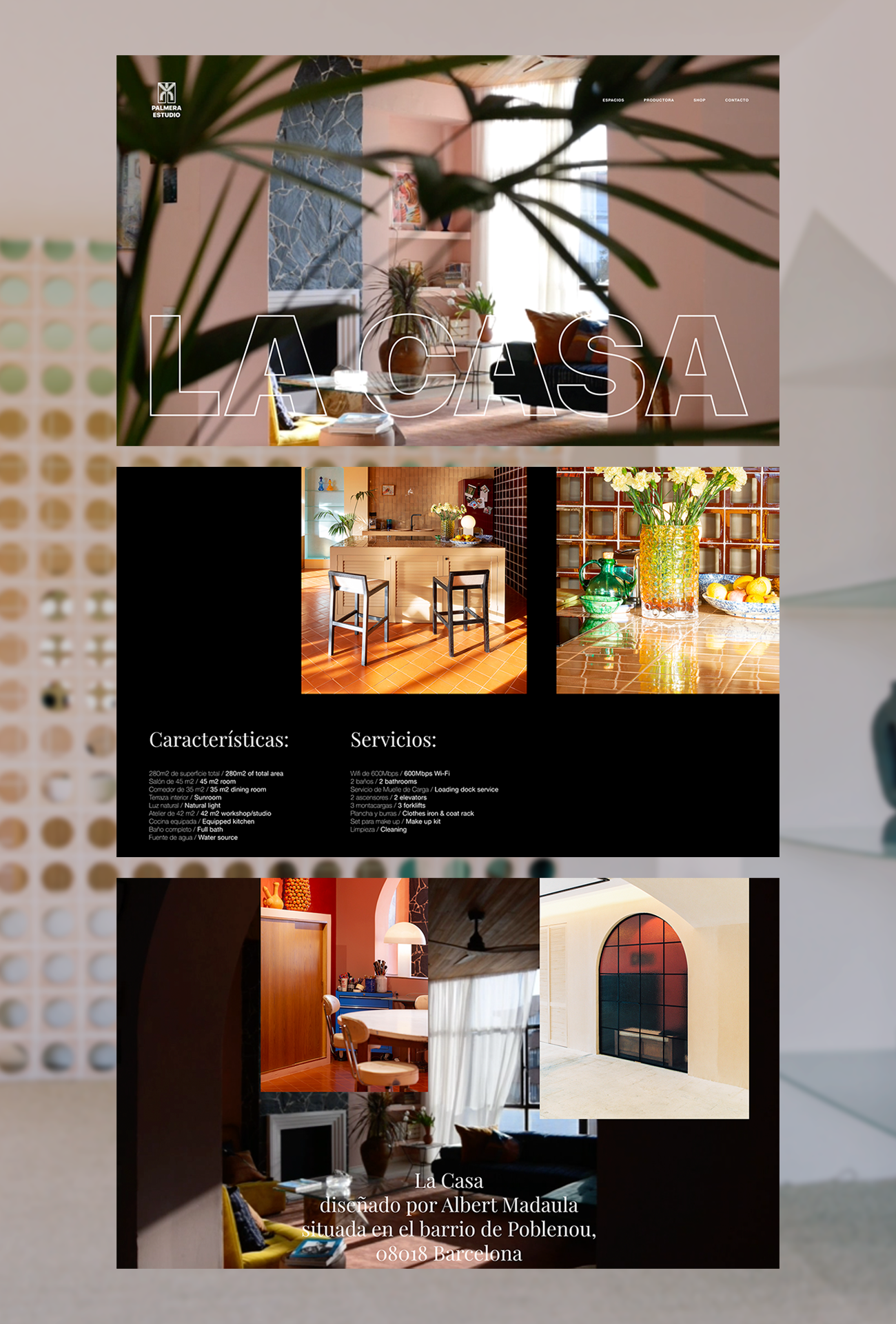 Web para La Palmera Estudio