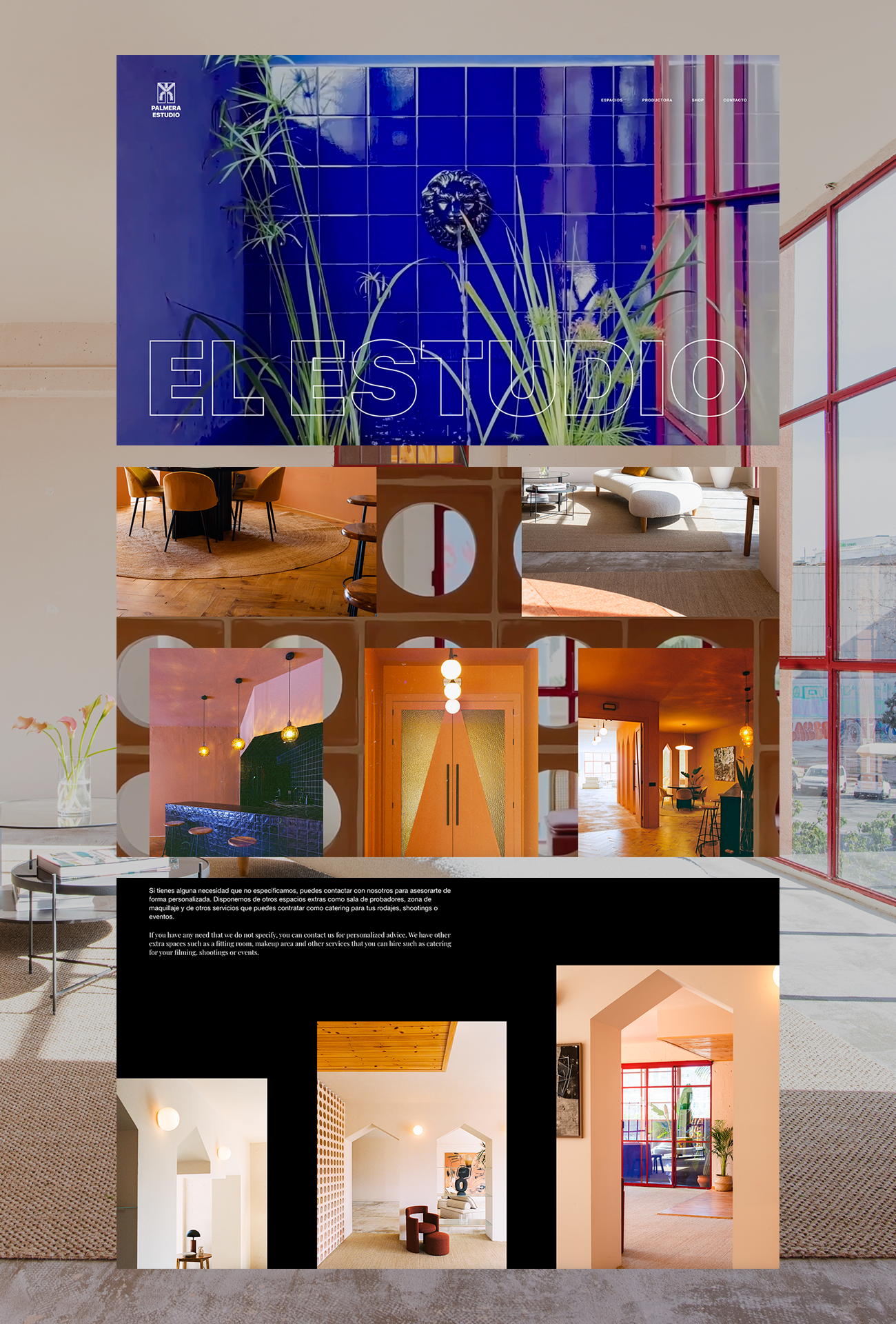 Web para La Palmera Estudio